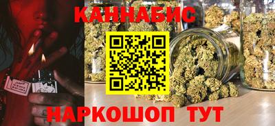индика Кулебаки