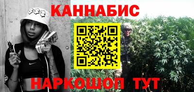 индика Кулебаки