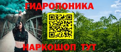 индика Кулебаки