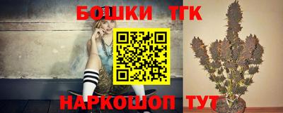 индика Кулебаки