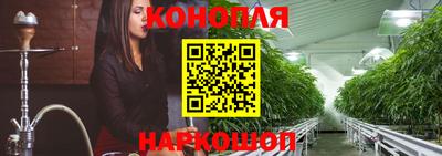 индика Кулебаки