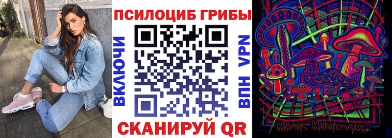 Псилоцибиновые грибы Psilocybe  кракен рабочий сайт  Полысаево 
