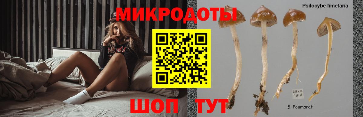Псилоцибиновые грибы Psilocybine cubensis  Вход с VPN  Псилоцибиновые грибы GOLDEN TEACHER  Полысаево 
